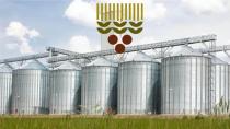 TMO Buğday Alımlarına 20 Mayıs’ta Başlıyor