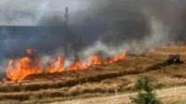Kahta'da elektrik telleri koptu, 40 dönüm buğday tarlası kül oldu